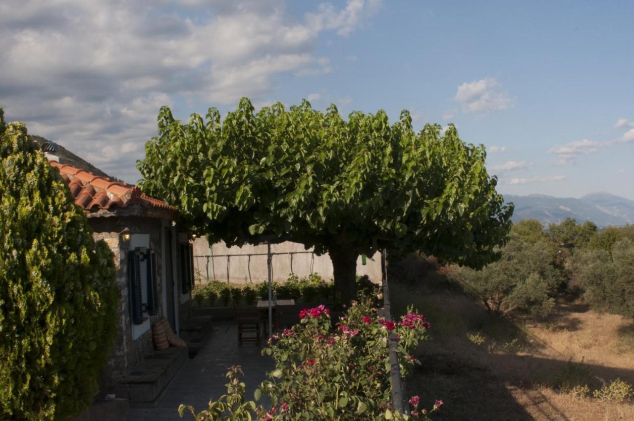 Villa Anna Nafpaktos Exterior photo
